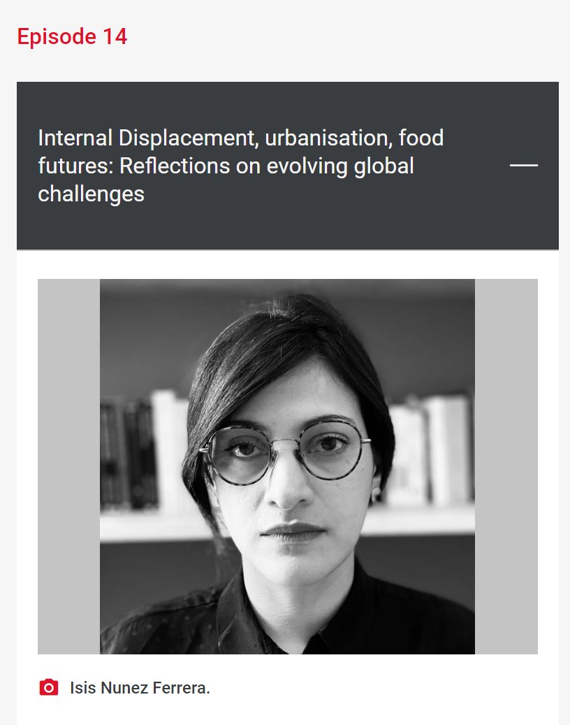 Researching Internal Displacement tweet media