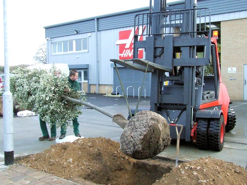 Commercial Landscaping &amp; Public Work

M&amp;N Horticulture are experienced #commercial contractors with longstanding relationships with schools, local businesses &amp; Local Authorities in #Norfolk &amp; surrounding areas

mnhorticulture.com/gardening/comm… 

#horticulture #gardening