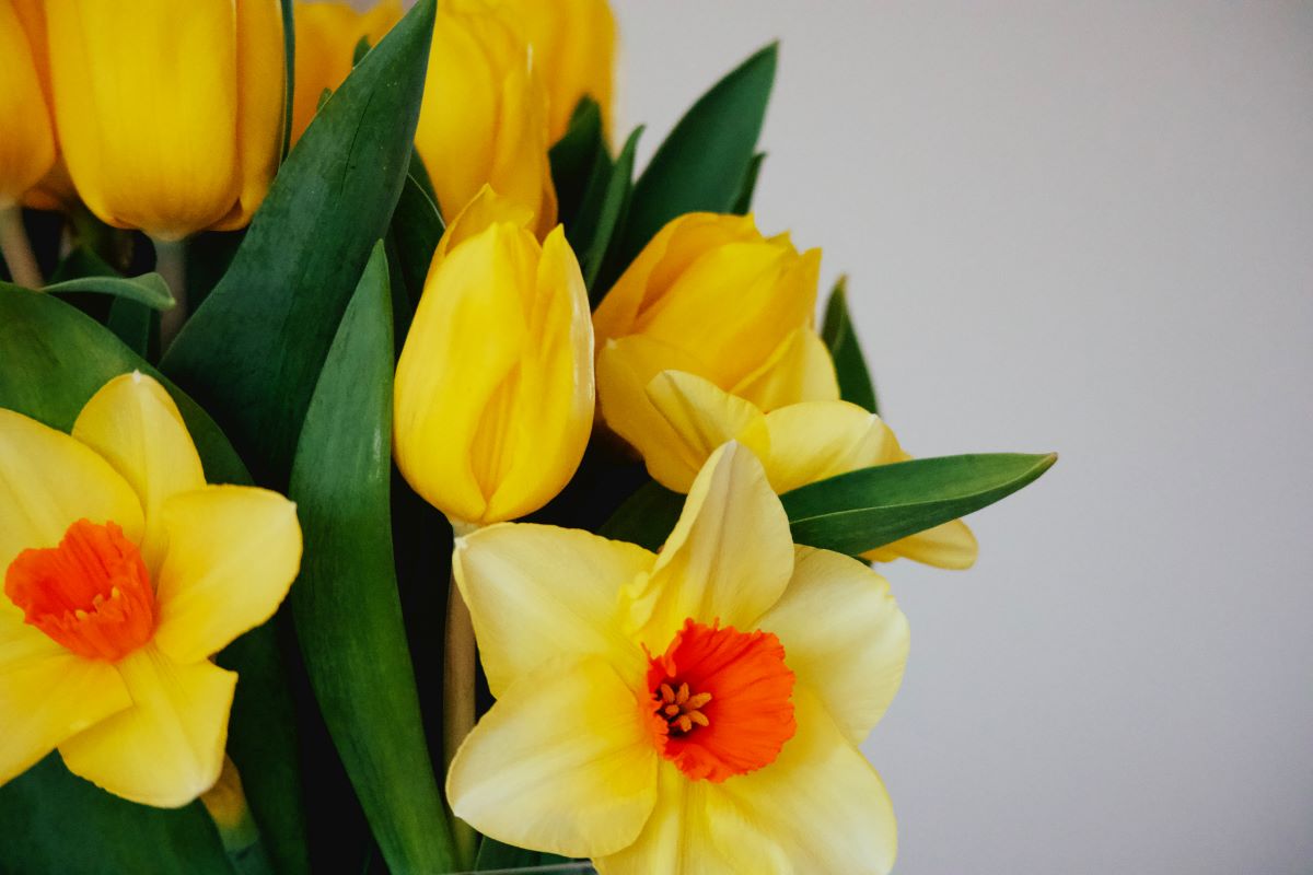 Wishing everyone a wonderful long weekend enjoying extra time with loved ones. 🌷 Please note that the Alumni Relations Office is closed for the Easter weekend and will reopen on Tuesday, April 2.