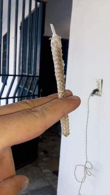 ChapoDoChong's tweet photo. bola na seda é facil kkkk quero ver bola no pele da cobra 😂😂🍁 https://t.co/mW7fJG8cbM