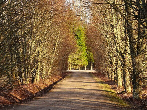 vkoralis's tweet image. ZAĻŠ
#pavasaris #mācītājsatpūšas