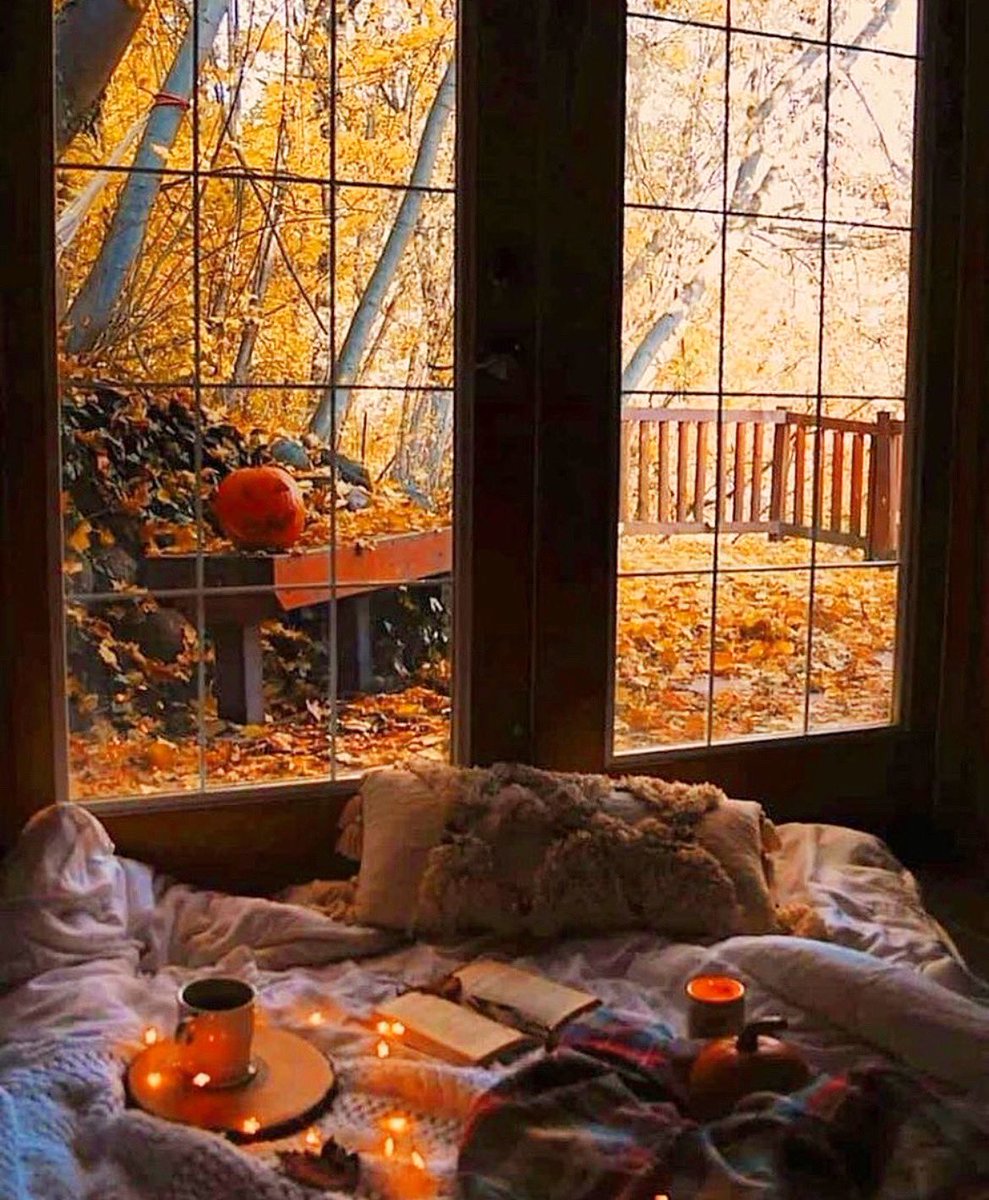 Thinking of cozy October days like this. 🧡🍂