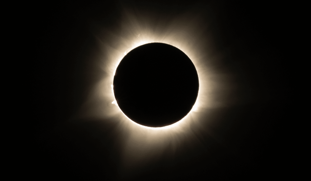 Hamilton CA tweet media