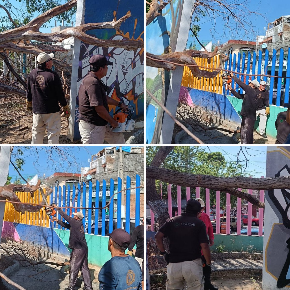 PROTECCIÓN CIVIL. | El Departamento de Atención a Zonas de Alto Riesgo de la Coordinación General de Protección Civil y Bomberos Acapulco realiza labores de tala y retiro de árboles caídos en el parque de la calle Durango en la col. Progreso.