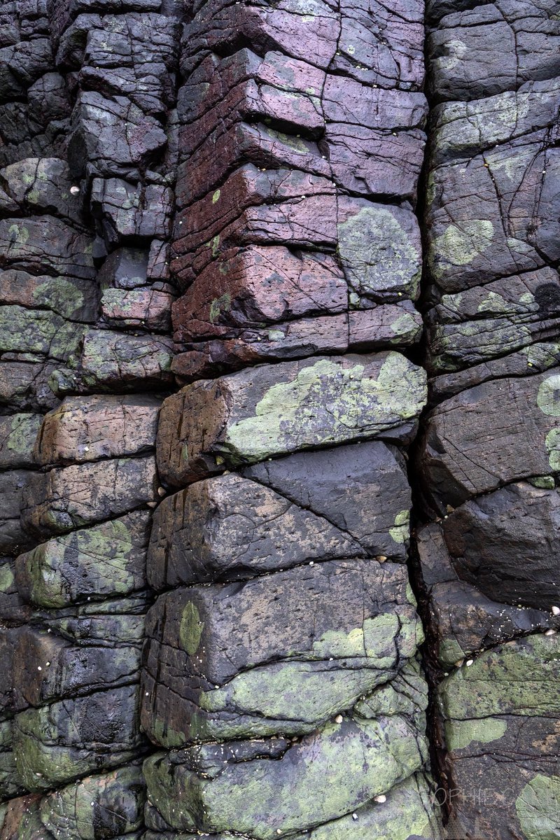 Time for some colourful basalt columns, shot on the big camera :)  I just love these things, and Ardtun had so many amazing ones.

#basaltporn #ScottishAdventure #VisitScotland #Scotland #IsleofMull #GeologyRocks
