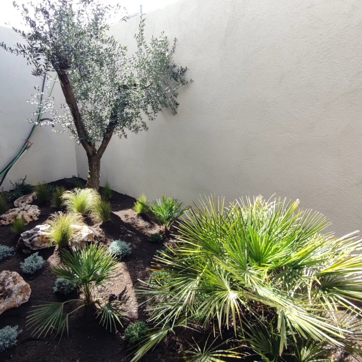 Tecjardi's tweet photo. Històries divertides a l'Espiga d'Or !! Un jardí pensat a foc lent, sense massa mare però amb la mateixa passió hi posa en @J_Morera! https://t.co/fQPOdB8CUj