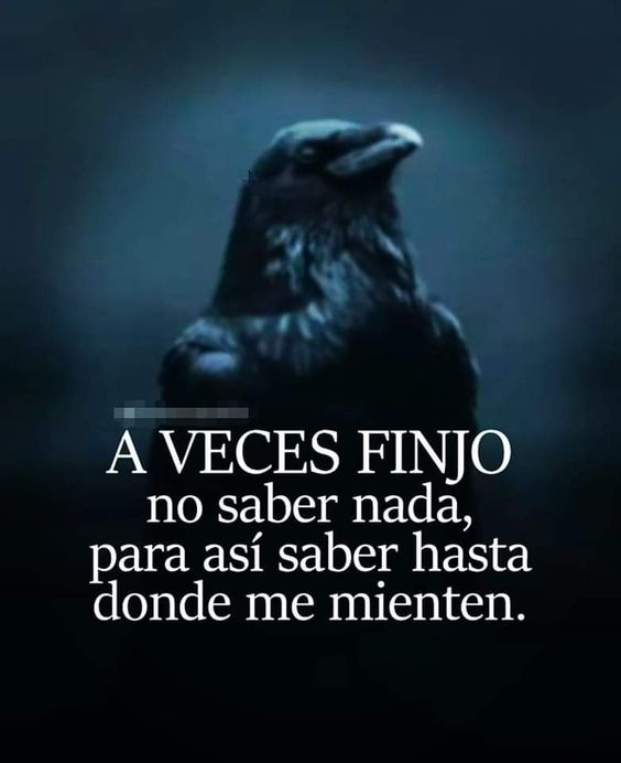 Ivan Lara (@lara02ivan) on Twitter photo 