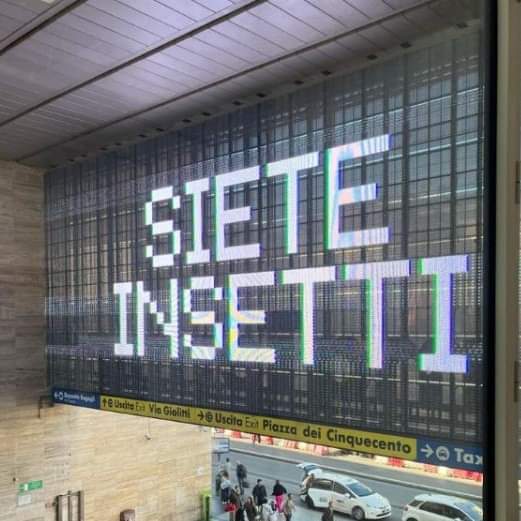 Scassuocchio's tweet photo. E l'hanno scritta a #Roma perché se no a #Napoli già gli avrebbero risposto: "Ogni #insetto è bello a mamma sòa".
#sieteinsetti https://t.co/1lI1lOYiUn
