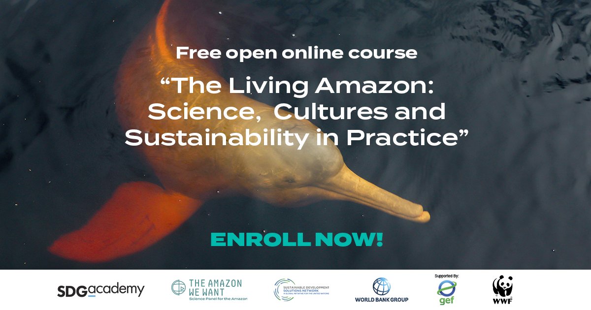 🐬Dive into the heart of the Amazon with our new course, “The Living Amazon: Science, Cultures and Sustainability in Practice.” Available in English, Spanish, and Portuguese on @edXOnline. 👉Enroll today: bit.ly/AmazonMOOC #AmazonMOOC #TheAmazonWeWant