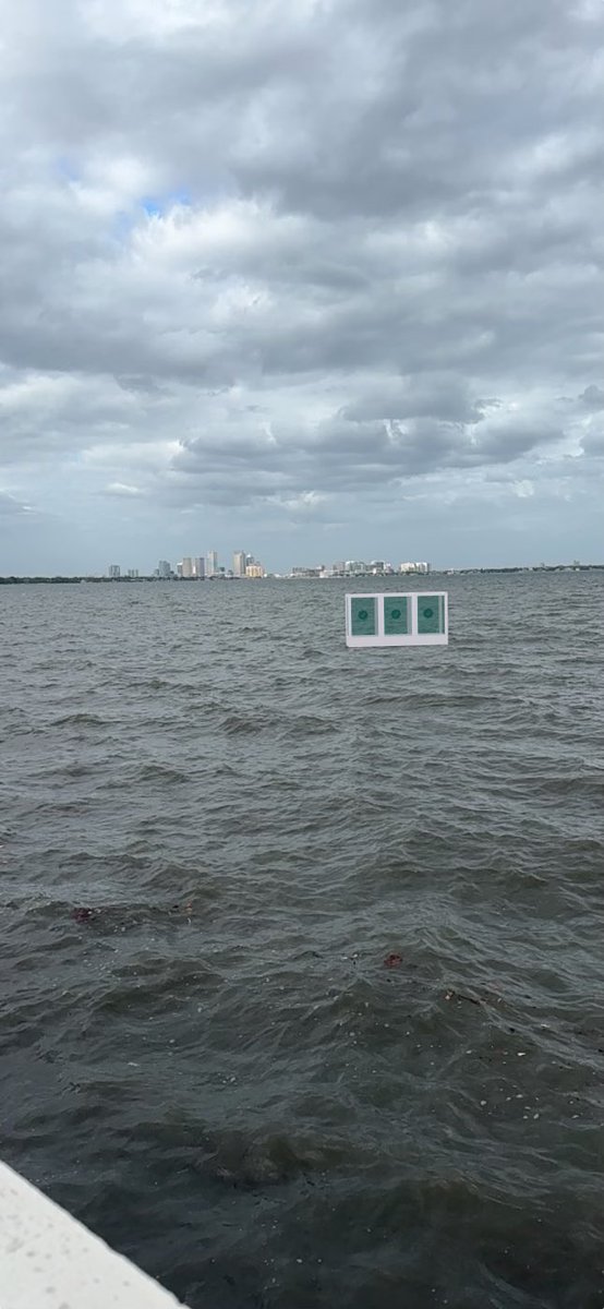 Spotted out in the Tampa Bay 

27 ° 54’ 30.7” N
82 ° 28’ 52.1” W

<a href="/jackbutcher/">jack</a> <a href="/visualizevalue/">VV</a>