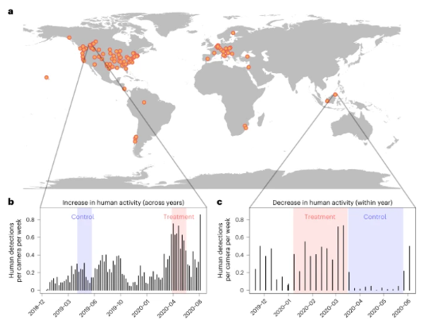 Diana Lafferty (@laffing_bear) on Twitter photo Exciting new paper led by <a href="/cole_burton/">Cole Burton</a> with 220 co-authors representing 102 projects across 21 countries highlighting the complexity of #wildlife behaviors relative to variation in human activity patterns during the COVID-19 "anthropause": nature.com/articles/s4155… Exciting new paper led by <a href="/cole_burton/">Cole Burton</a> with 220 co-authors representing 102 projects across 21 countries highlighting the complexity of #wildlife behaviors relative to variation in human activity patterns during the COVID-19 "anthropause": nature.com/articles/s4155…