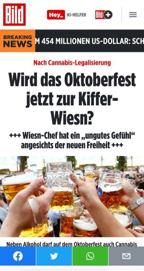 Chef des größten deutschen Drogenfestes hat nun Angst vor Drogen.