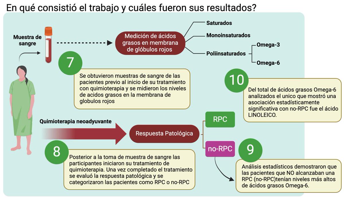 STORM Chile tweet media