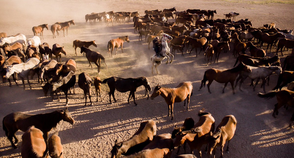 Bilal ESKİOĞLU tweet media