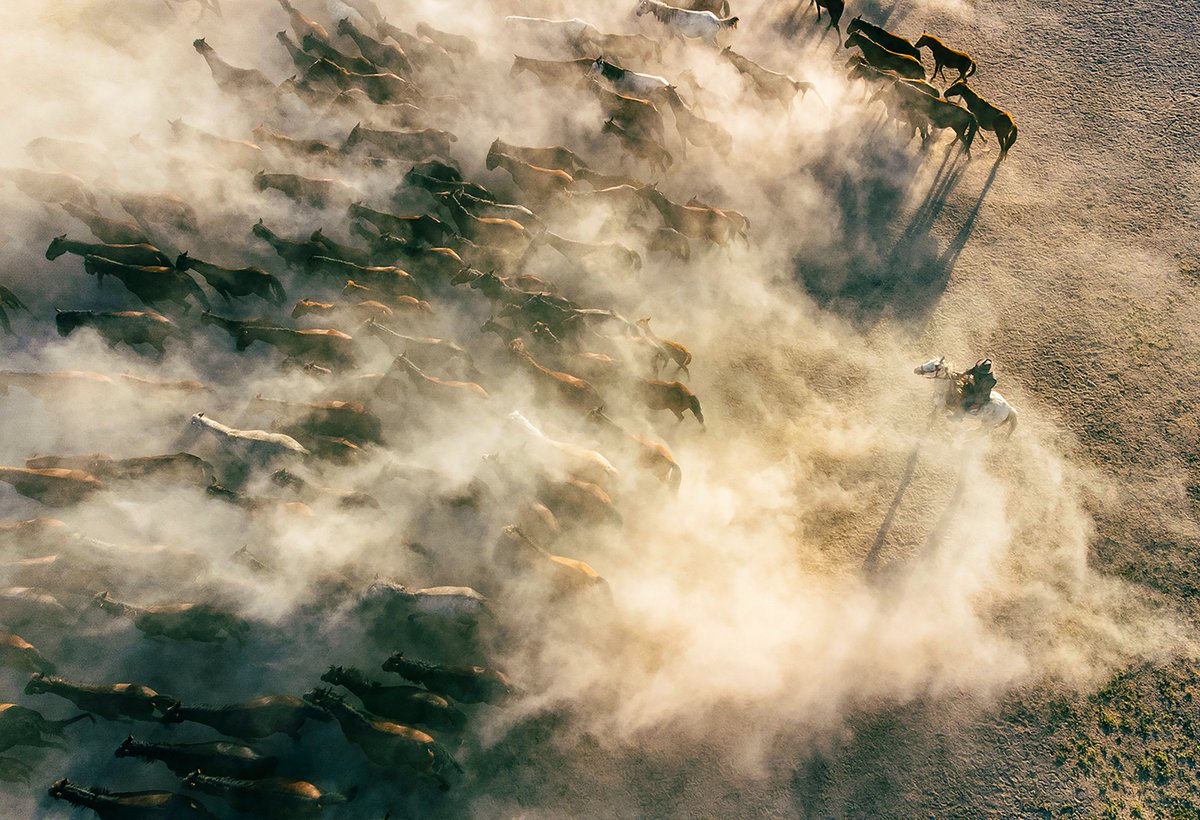 Bilal ESKİOĞLU tweet media