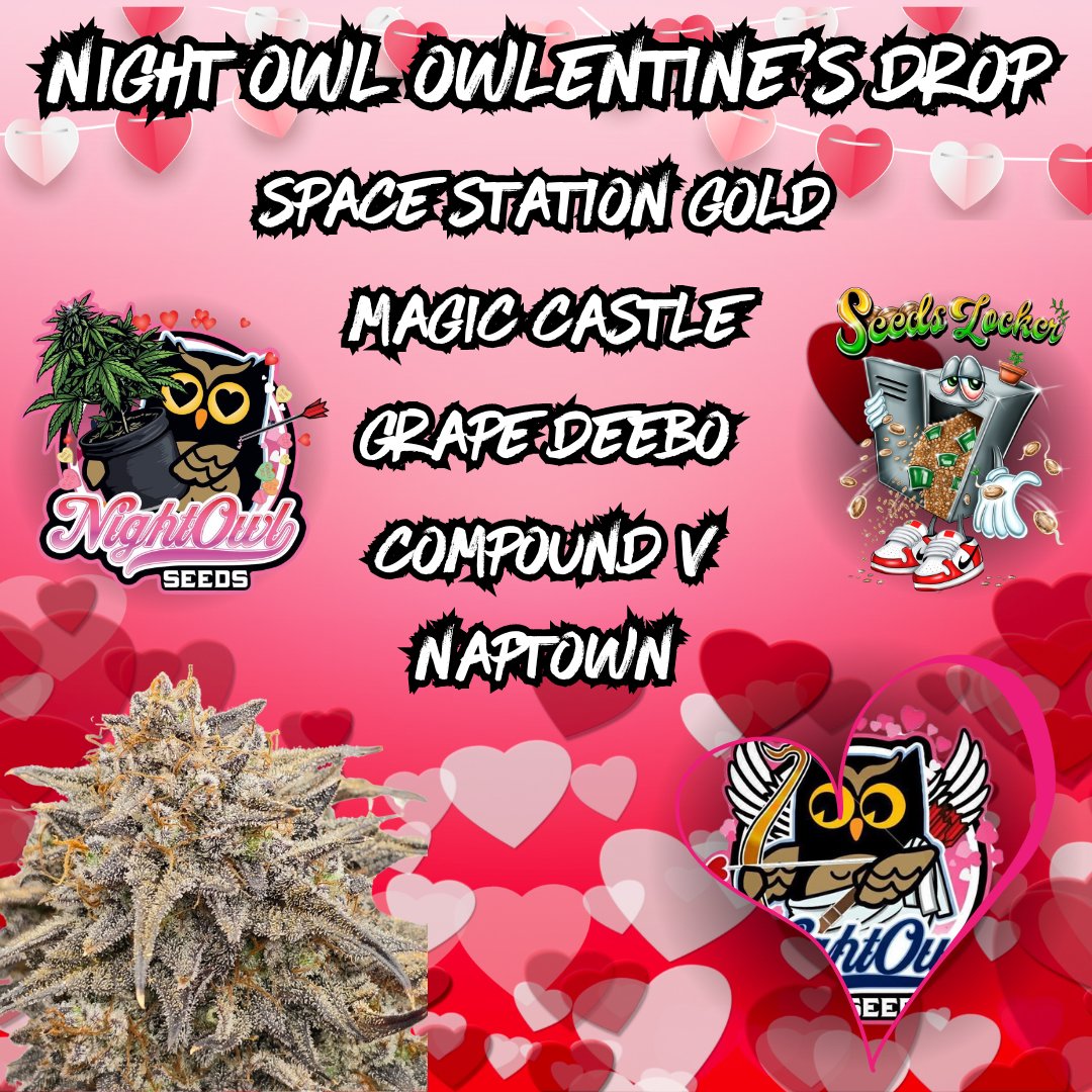 Night Owl Owletines Drop now available at seedslocker.com

#seedslocker #seedbank #autoflower #nightowlseeds