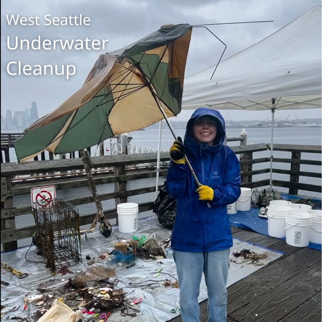 Our Seacrest cleanup is scheduled for April 13th, join us! Registration Open!

Pre-registration required, and you must be Advanced Open Water certified above to dive this event. Shore support is greatly appreciated as well.