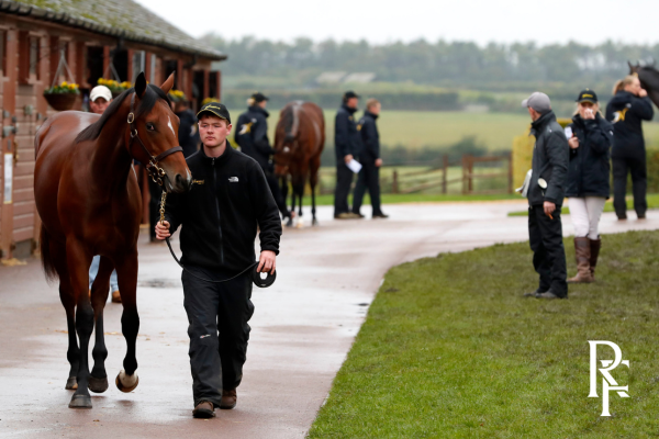 A survey has been launched with the aim of enhancing stud staff careers. Funded by the Racing Foundation and in partnership with <a href="/BHAHorseracing/">British Horseracing Authority</a> <a href="/TheTBA_GB/">The Thoroughbred Breeders’ Association (The TBA)</a> &amp; more. Stable staff are encouraged to have their voice heard and fill out the survey here: racingfoundation.co.uk/racing-foundat…