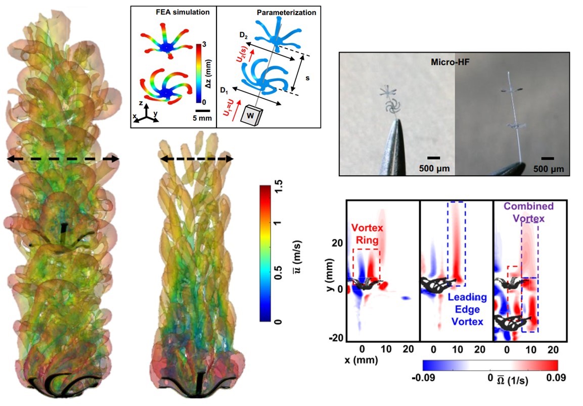 John A Rogers (@profjohnarogers) on Twitter photo Our most recent paper on 3D passive microfliers inspired by wind-dispersed seeds is now available in the new journal <a href="/PNASNexus/">PNAS Nexus</a>, the engineering companion to the Proceedings of the National Academy of Sciences. The engineering motivation is in methods for wide aerial dispersal Our most recent paper on 3D passive microfliers inspired by wind-dispersed seeds is now available in the new journal <a href="/PNASNexus/">PNAS Nexus</a>, the engineering companion to the Proceedings of the National Academy of Sciences. The engineering motivation is in methods for wide aerial dispersal