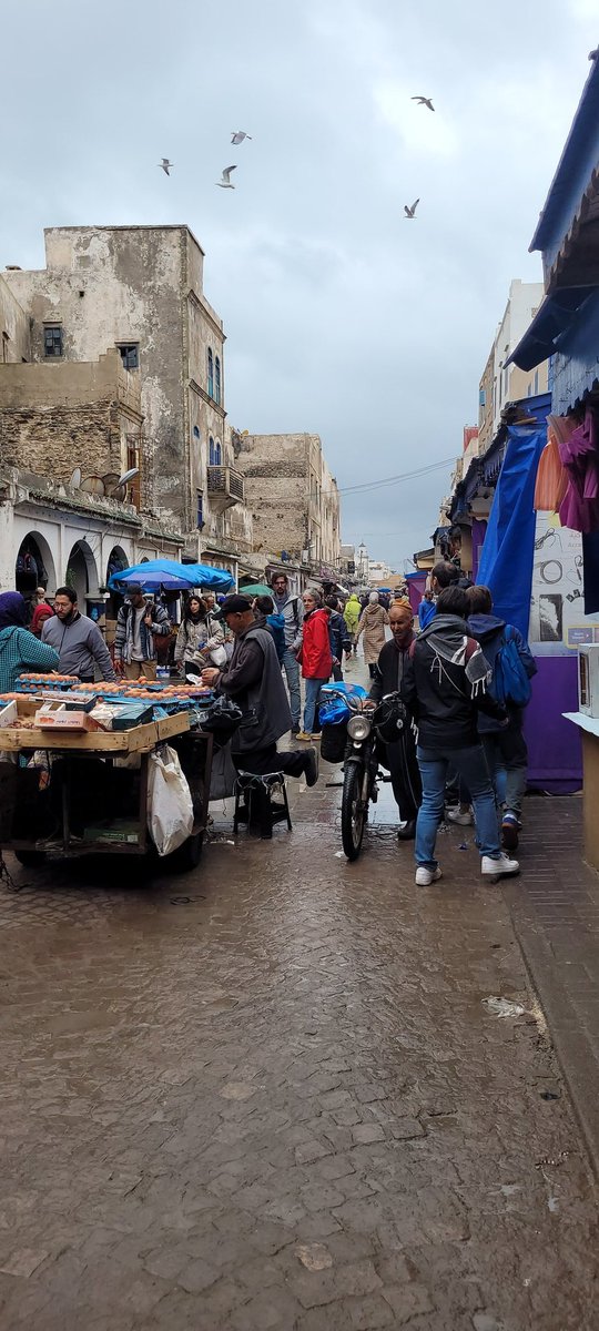 Anne Kabia tweet media