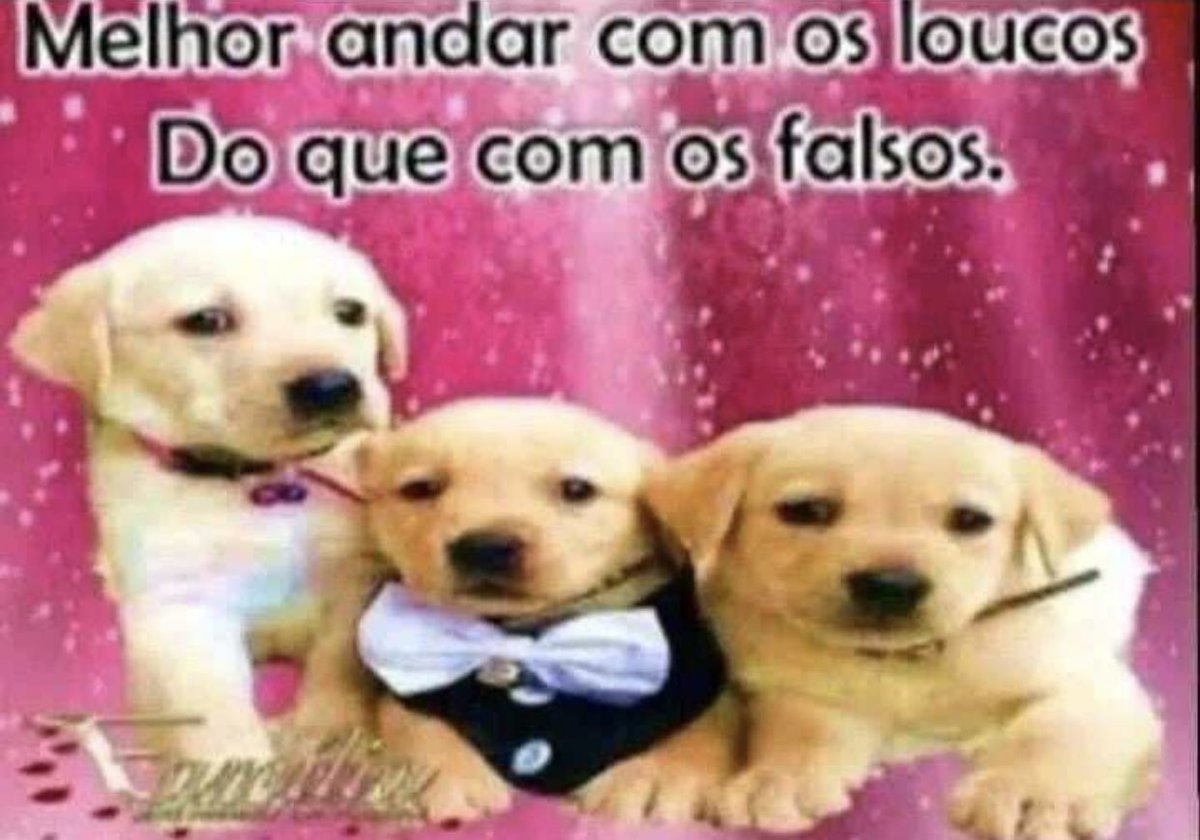 odeiootaco's tweet image. 