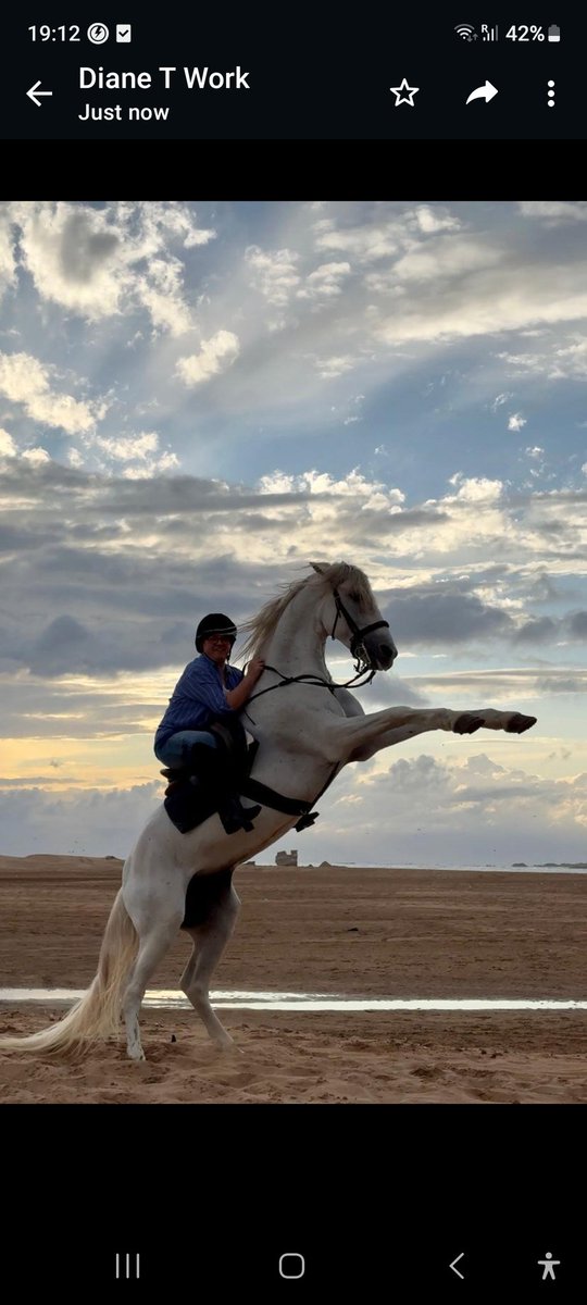 Anne Kabia tweet media