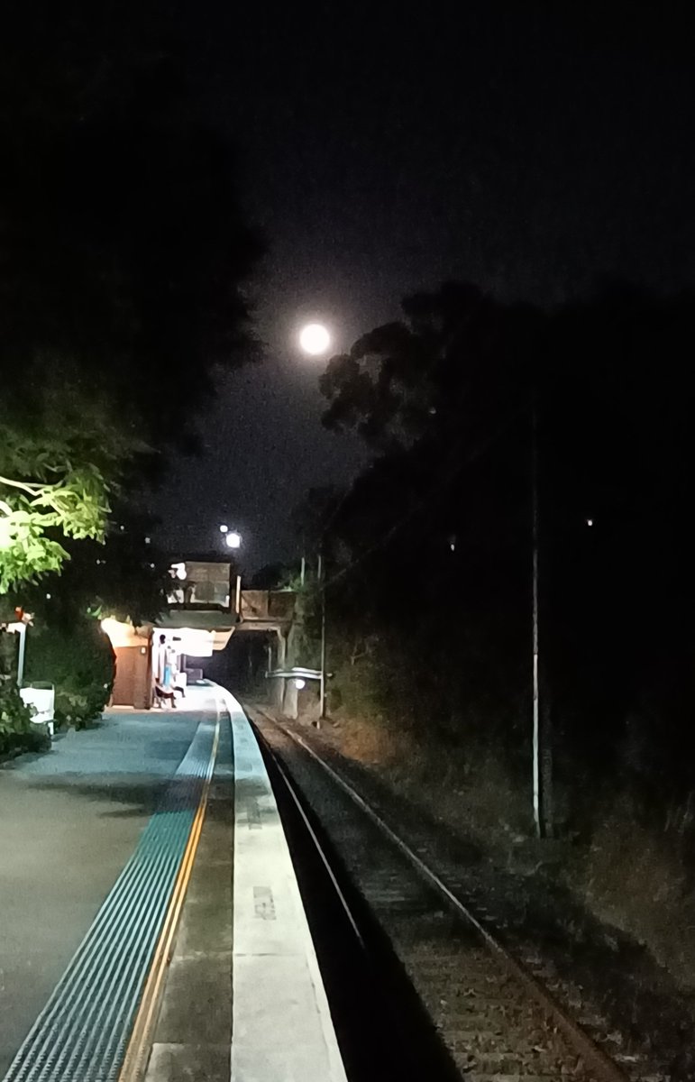 Good morning Gymea. I'm up early. Working on the moontan.