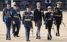 The Royal Family is such a joke that the only person who has served on the frontlines wasn’t allowed to wear uniform, but all the people who didn’t were.