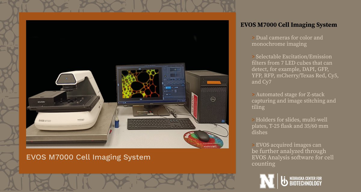 #BiotechMonday 

The Microscopy Core's EVOS M7000 Imaging System is available for use either independently or with guidance! 

Learn More >>biotech.unl.edu/microscopy