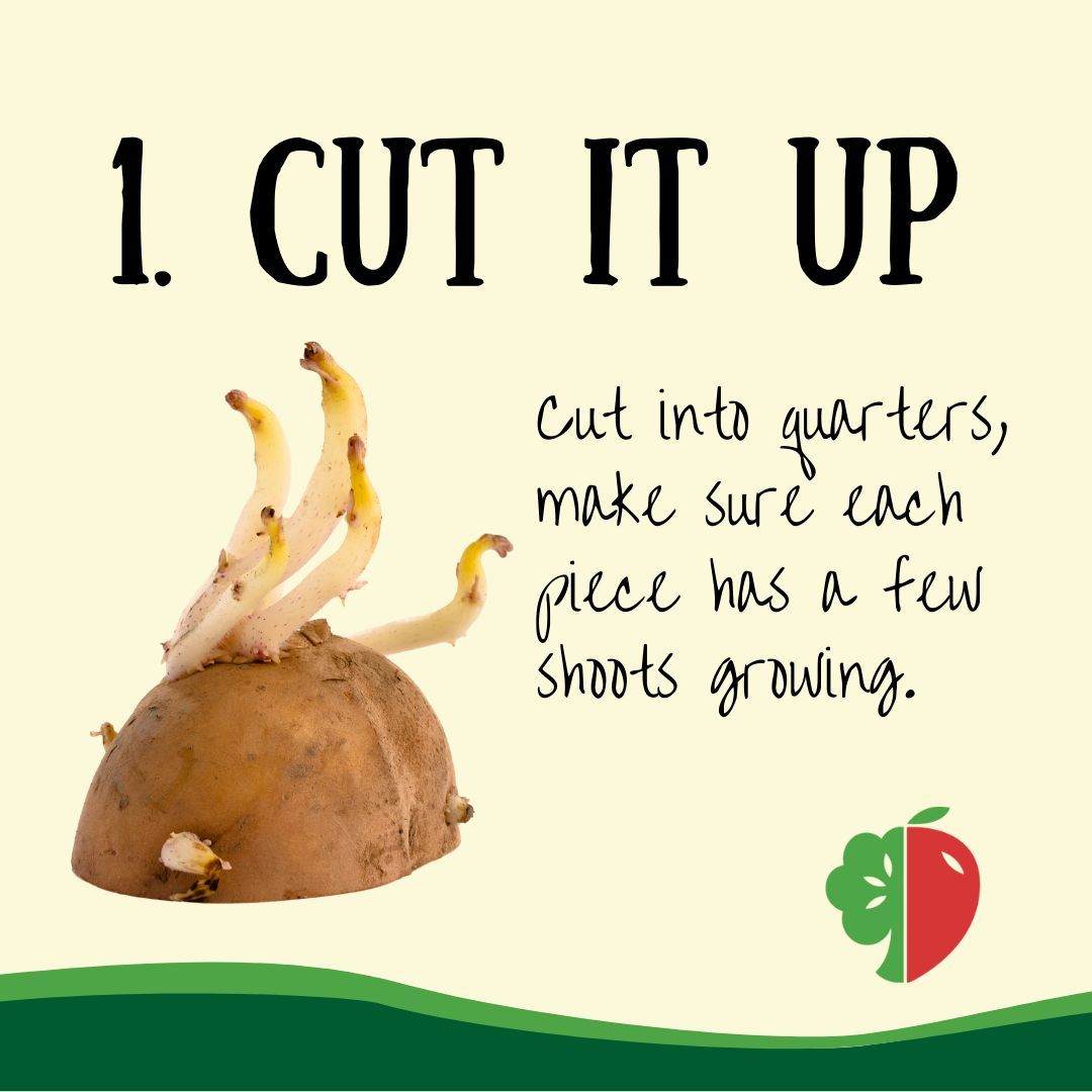 Produce Perks tweet media