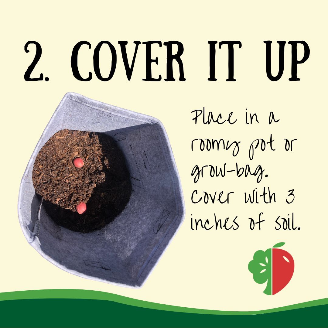 Produce Perks tweet media