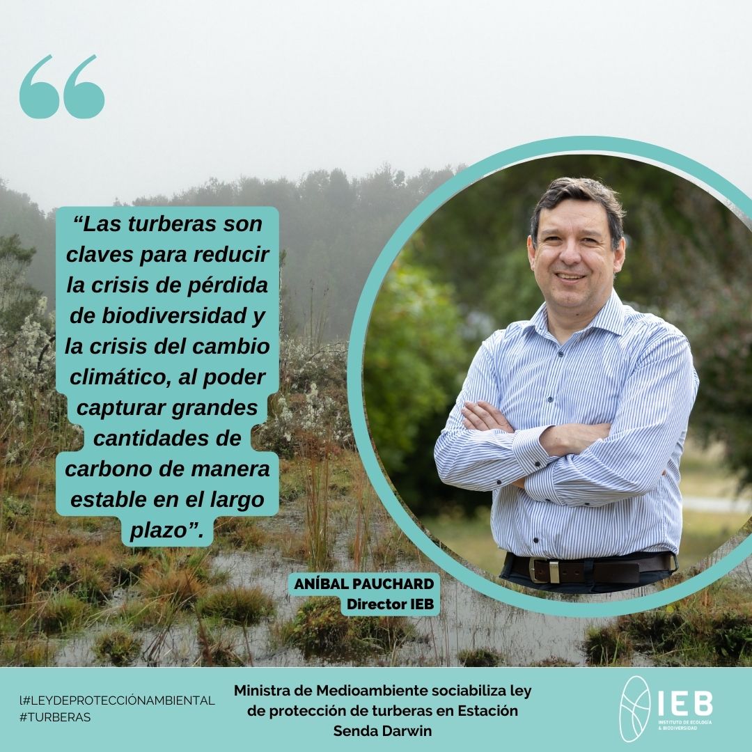 IEBChile tweet picture