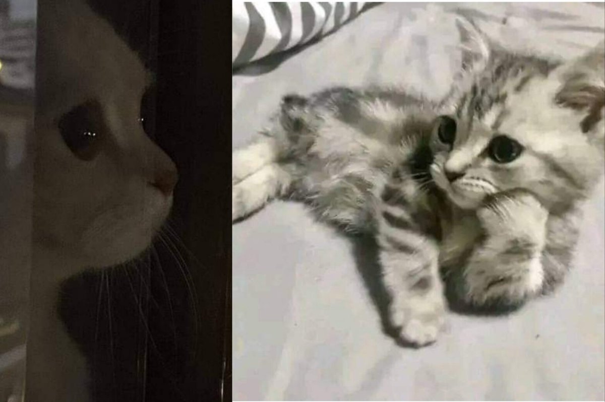 mostafaharbok98's tweet image. - أنت مبتكتبش فيَّ شعر زي اللي بتكتبه ليه؟

= لأن حضورك يربكُ قلبي، فتغلبُه اللعثمة على المَكلَمَة.