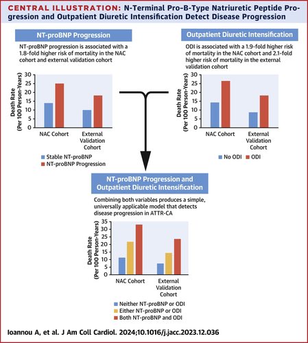 🔴 Stratifying Disease Progression in Patients With Cardiac ATTR Amyloidosis @JACCJournals #CardioEd #Cardiology #Amyloidosis