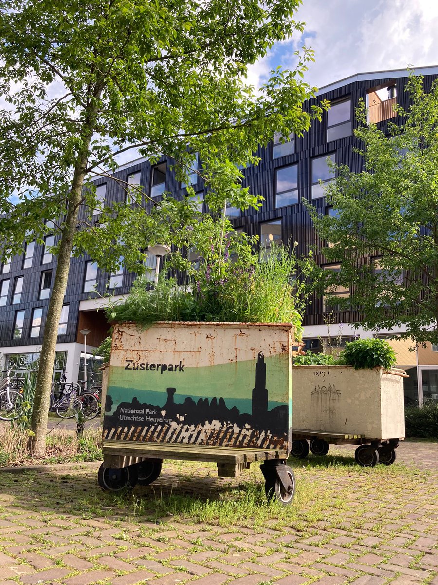 Morgenmiddag te gast in het Climate Café, over hoe guerilla gardening XL (de mobiele tuinen) en initiatieven van onderop de vergroening op Rotsoord heeft aangejaagd. In de voetsporen van bewonersinitiatief De Kersentuin: m.youtube.com/watch?v=TQfo3Q… 💪