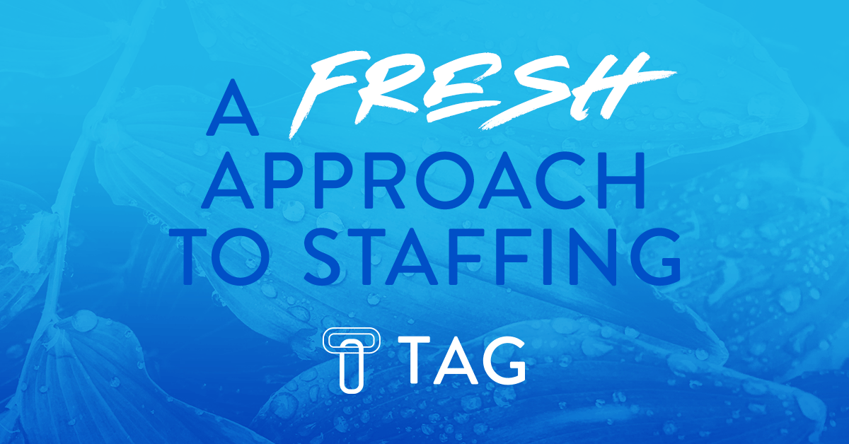 TheTempGuru's tweet photo. As spring begins, let us help you get a fresh approach to how you hire! Contact us today to get started!
-
Contact us here! https://t.co/x2ZLXSURQq https://t.co/uhKQVl3Hiv