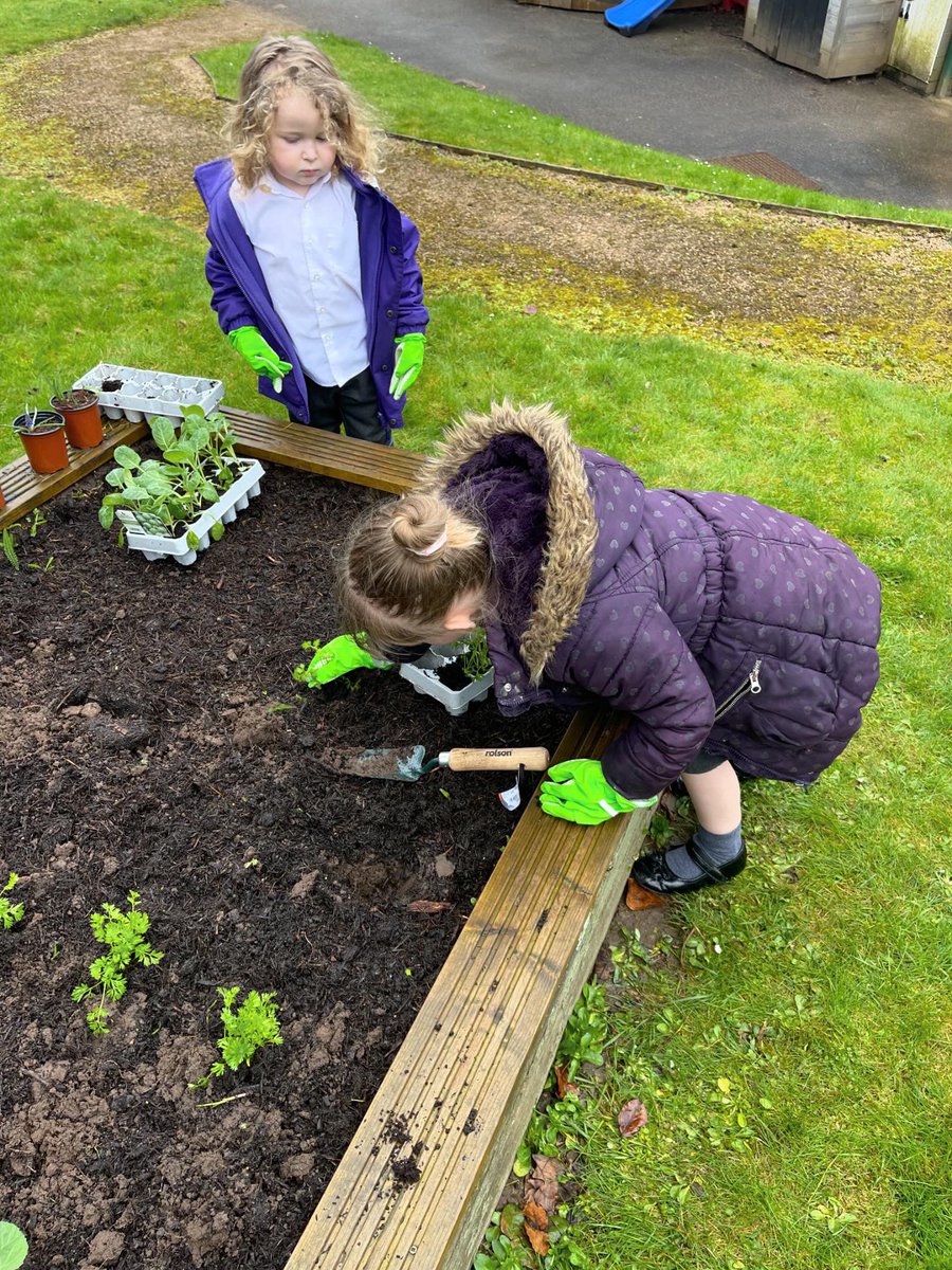 Nursery & Reception Bridgewater Park tweet media