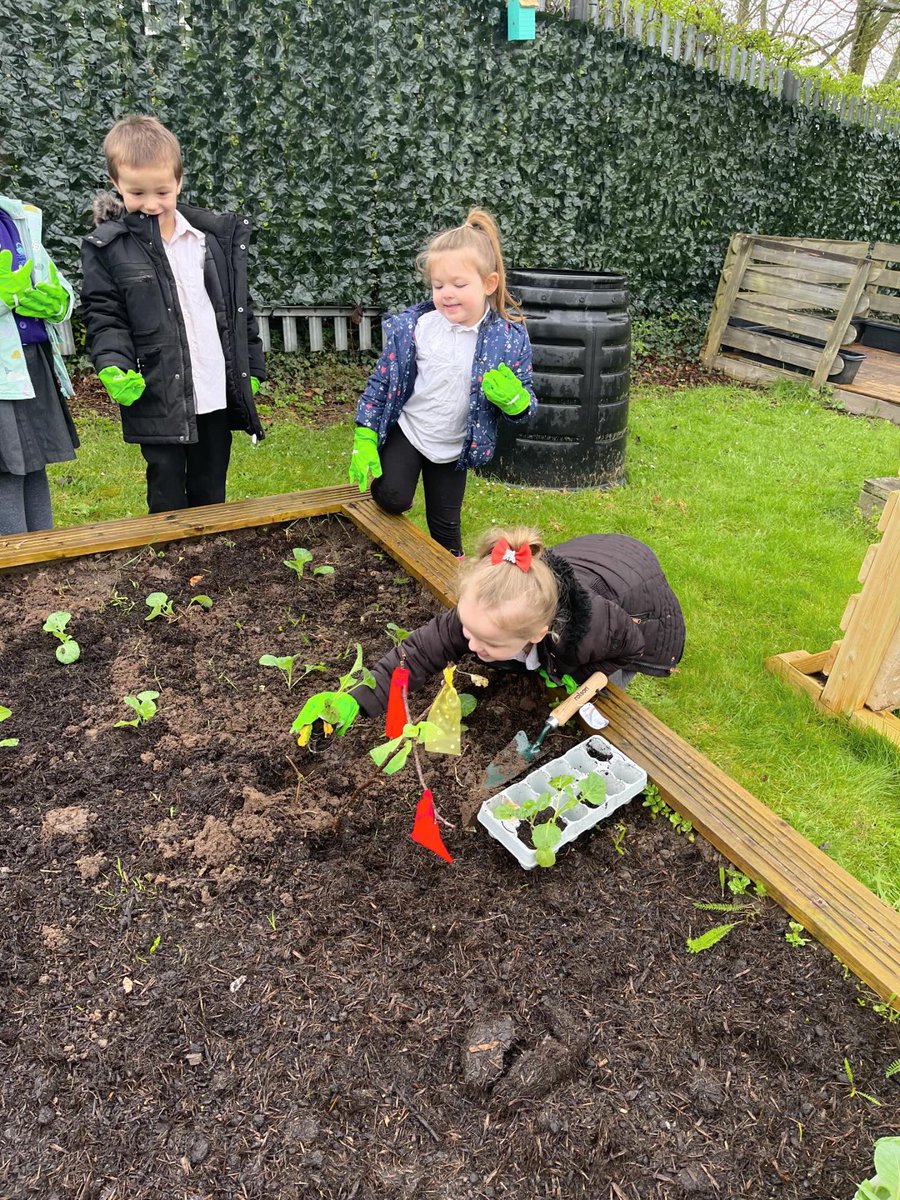 Nursery & Reception Bridgewater Park tweet media