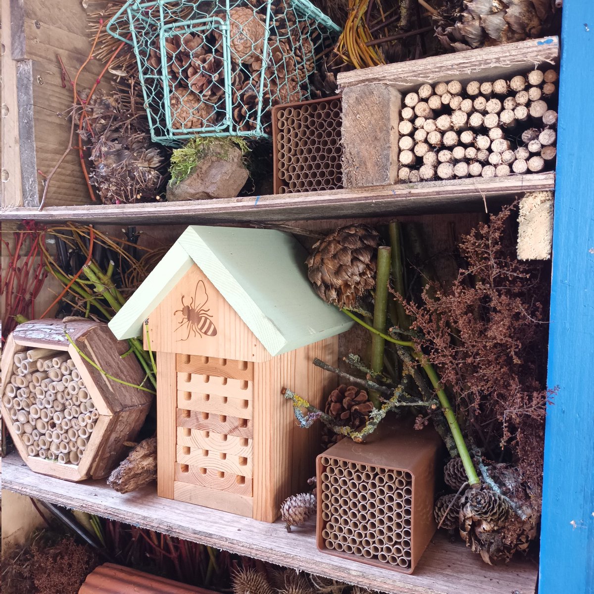 New accommodation for our insect friends in our Portadown yard. We're not too far from the park and flowering trees, so we're hopeful! #biodiversity #bughotel