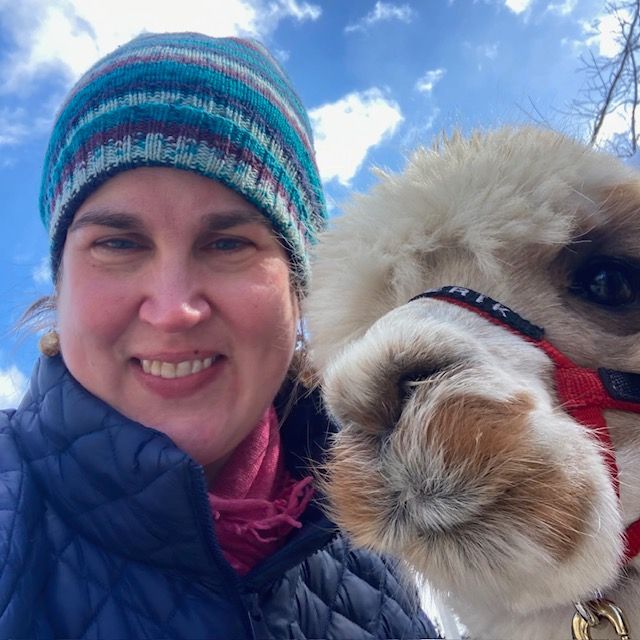 Harvard Law Library tweet media