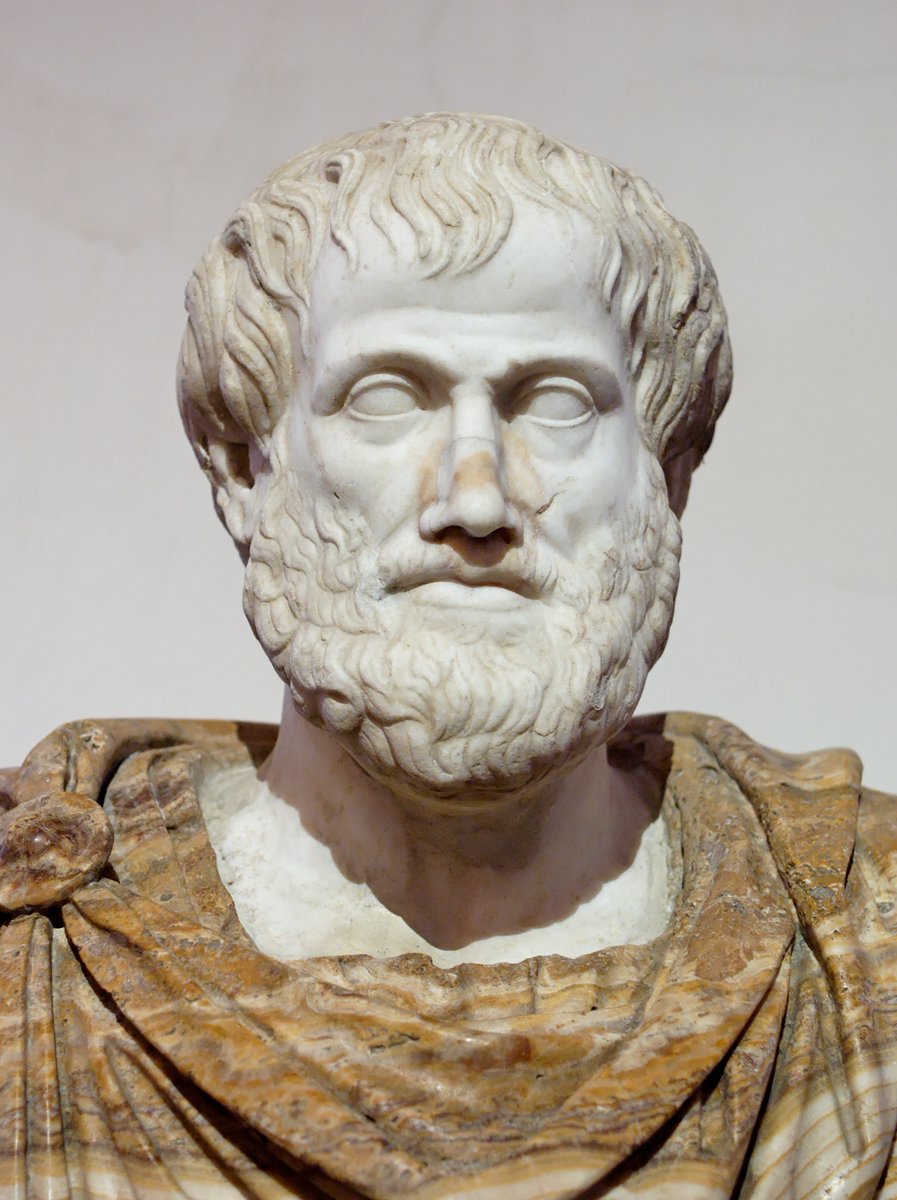 'We are what we repeatedly do.' - Aristotle​​.

#history #quotesoftheday #quotesdaily #quoteoftheday