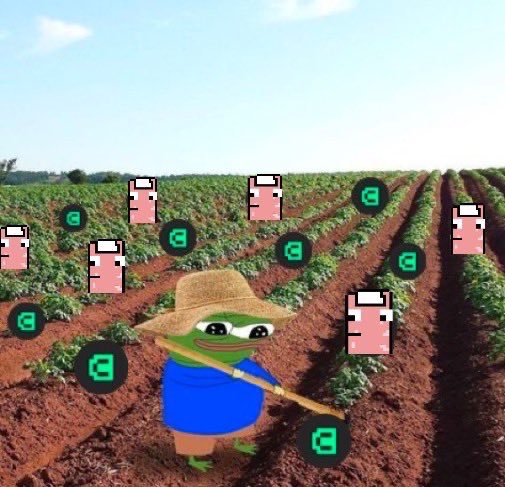 CanToe.canto➕ (🦶,🦶) tweet media