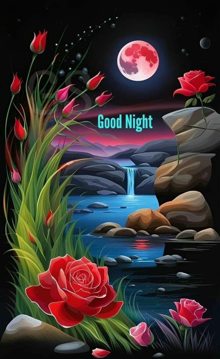 RealMahamX's tweet photo. Good night 
Stay blessed
Have a sweet sleep 😴😴 https://t.co/0iZxHfM4rq