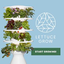 Want homegrown vegetables without the work? This indoor garden makes growing fresh vegetables so easy. No green thumb is needed!
~ bit.ly/437nlF9
#garden #gardening #farmstand #indoorgarden #growingfood #freshveggie