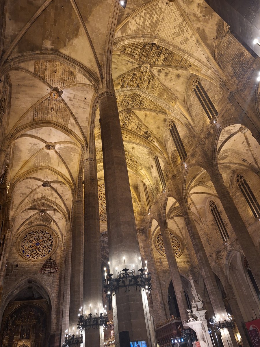 Y qué maravilla escuchar el Réquiem de Mozart en la catedral de #Palma 
Si además el concierto es en beneficio de #ProyectoHombre ¿para qué más?