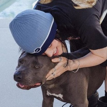 °.`•✩‧₊˚ tweet media