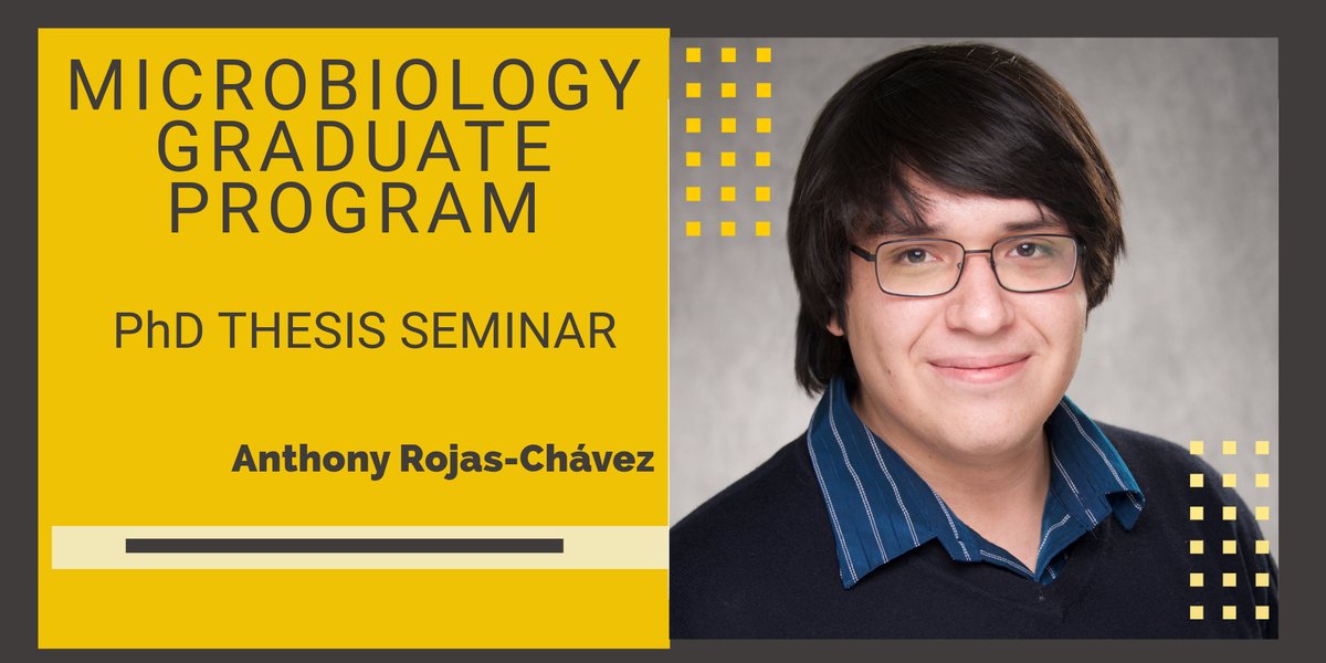 Join us for the Microbiology PhD Thesis Seminar with graduate student Anthony Rojas Chávez on Monday, April 1st, at 10am in MERF 2117! 🎓🔬 @UIGradCollege @uiowabiomed
