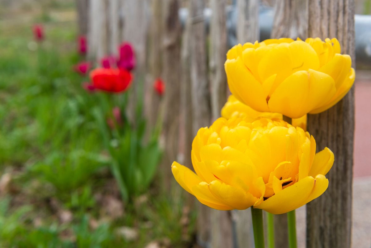 surreylib's tweet photo. Library Spring vacation round-up https://t.co/p1mf9LTLZf https://t.co/3GhCaLRbyg