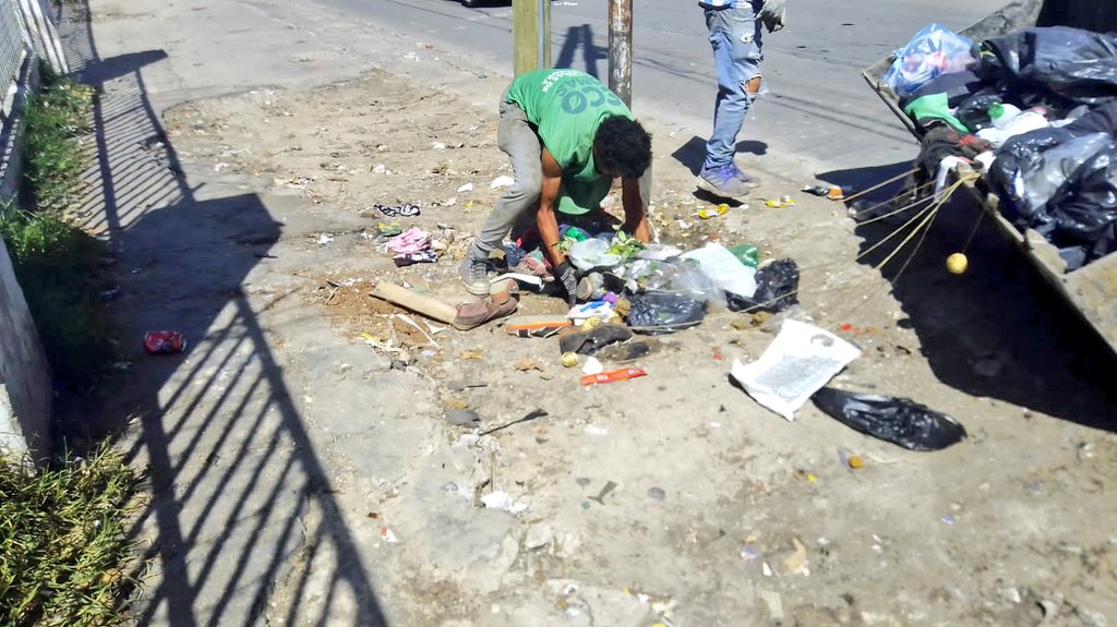 SecServiciosPub's tweet image. 🚛🌿 Recolección de montículos de basura y ramas en Lamadrid y Budge. Contribuyamos juntos a mantener nuestras calles más limpias.💪🏻

@fotermin @martinchoren_
@JulioCRiquelme2 @gabrielgagolmz Julio Chamorro @MarielaGomez_M

#Lamadrid #Budge #LomasEsEnEquipo