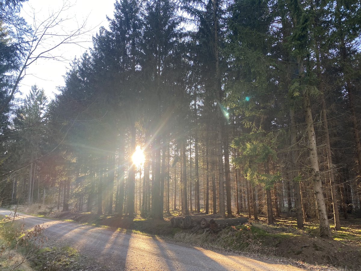 Azetbur's tweet photo. #mdrza war es ordentlich windig. #kleinerDino hat mit den Ärmchen geflattert als wäre er ein #entchen. #mdrnh kam dann sogar die Sonne raus. #pmdfis https://t.co/4XqoVZnLiI